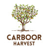 CARBOOR HARVEST