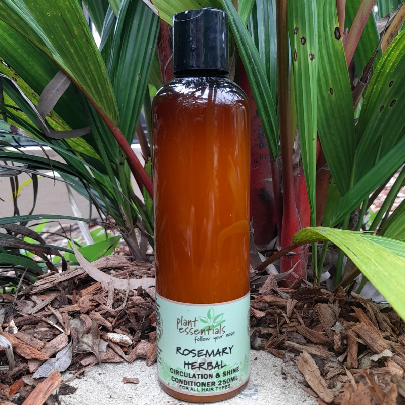 Rosemary Herbal Conditioner 250ml by PLANT ESSENTIALS