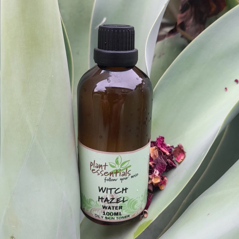 Witch Hazel Water 100ml by PLANT ESSENTIALS