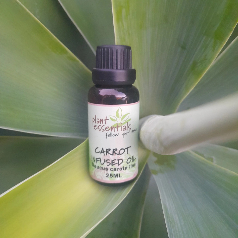 Carrot Infused Oil 25ml by PLANT ESSENTIALS