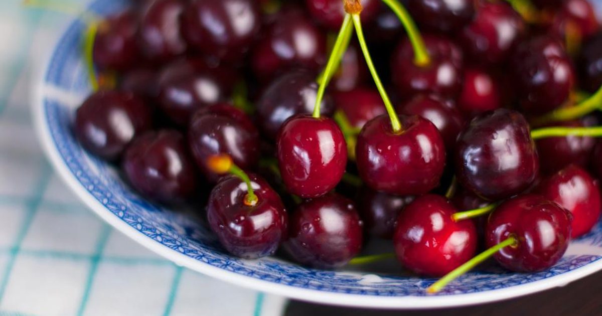 A plate of fresh cherries on a checked cloth